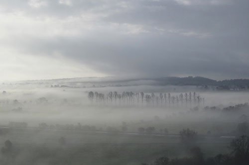 Avalon - photo by Kathy Jones