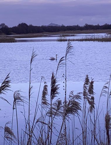 Priestess of Avalon Taster Day